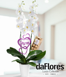 Orquídea Blanca para Mamá