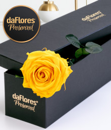 Preserved Single Long Stem Yellow Rose