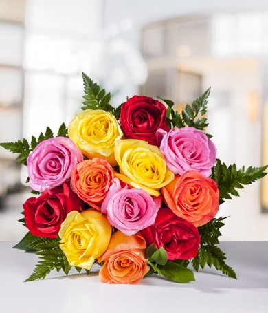 Dozen Assorted Roses