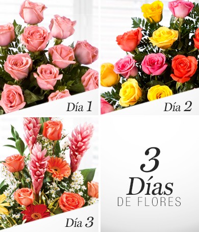 Three Days of Flowers