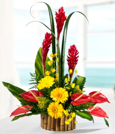 Exotic Sophistication