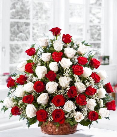 Esplosione di rose di Buone Feste