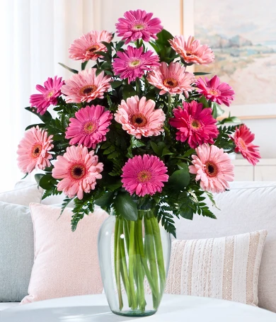 Daisy Cluster