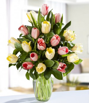 20 Mixed Tulips