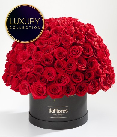 Más de 100 Rosas Rojas Premium