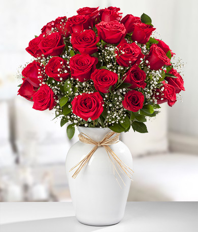 Red Roses in White Vase