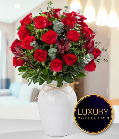 Red Roses & Proteas Jester