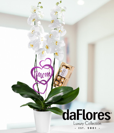 Love You Mom White Orchid