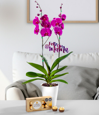 Orquídea Morada para Mamá