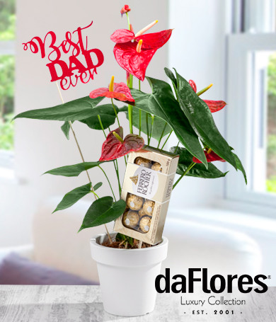 Red Anthurium Combo for Dad