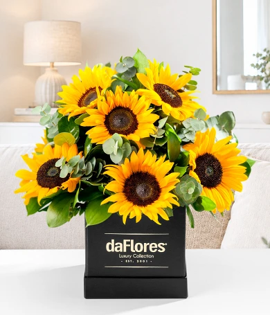 Girasoles en Caja Negra