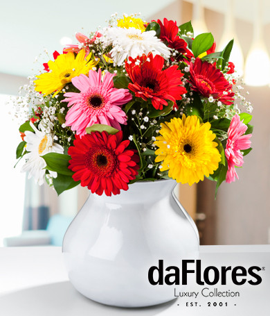 Gerberas in White Vase