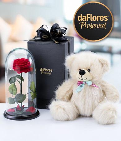 Preserved Rose and Luxury Plush Bear