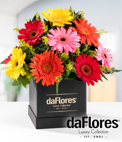 Gerberas en Caja de Lujo