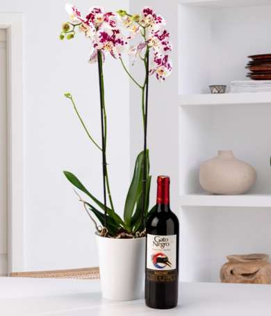 Orquídea y Vino