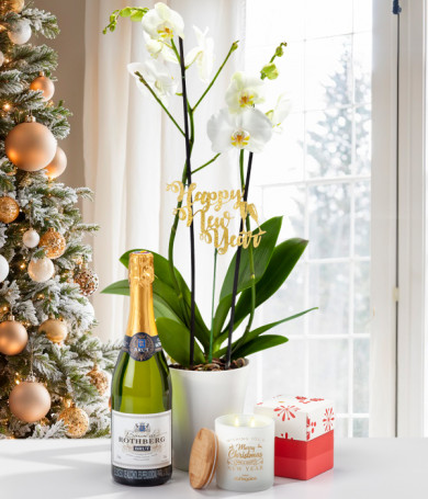 Elegant New Year Orchid