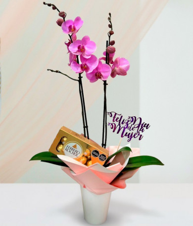 Women’s Day Orchid and Chocolates
