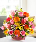 Bouquet Multicolor