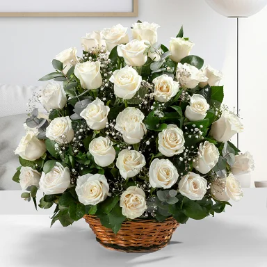 Condolencias